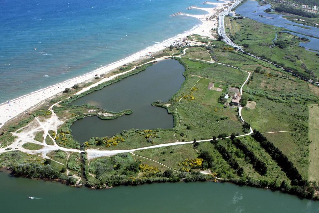 Au Reveil Des Cigales Hotel Saint Aygulf Luaran gambar
