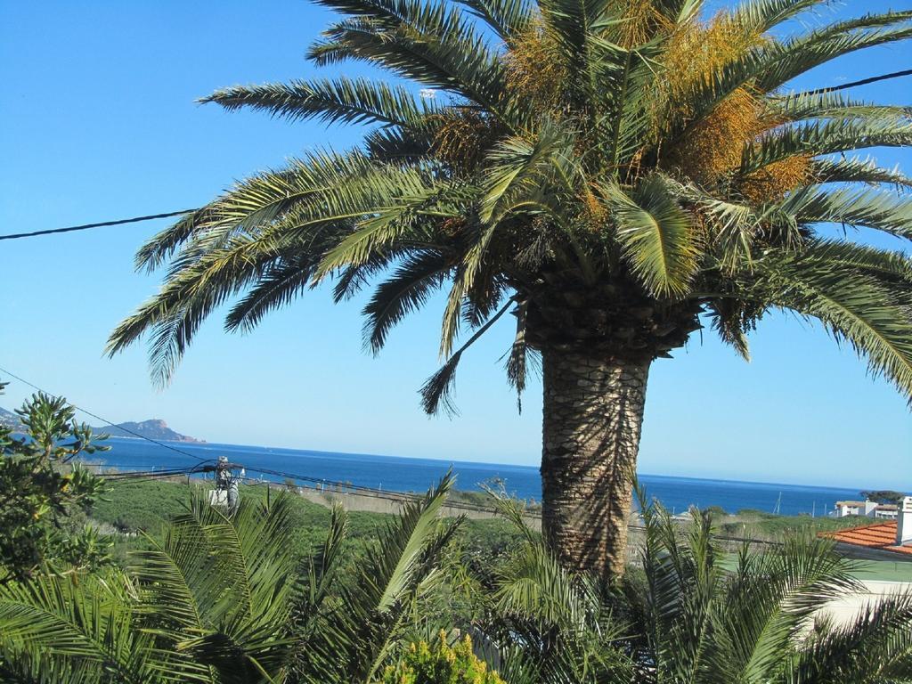 Au Reveil Des Cigales Hotel Saint Aygulf Luaran gambar